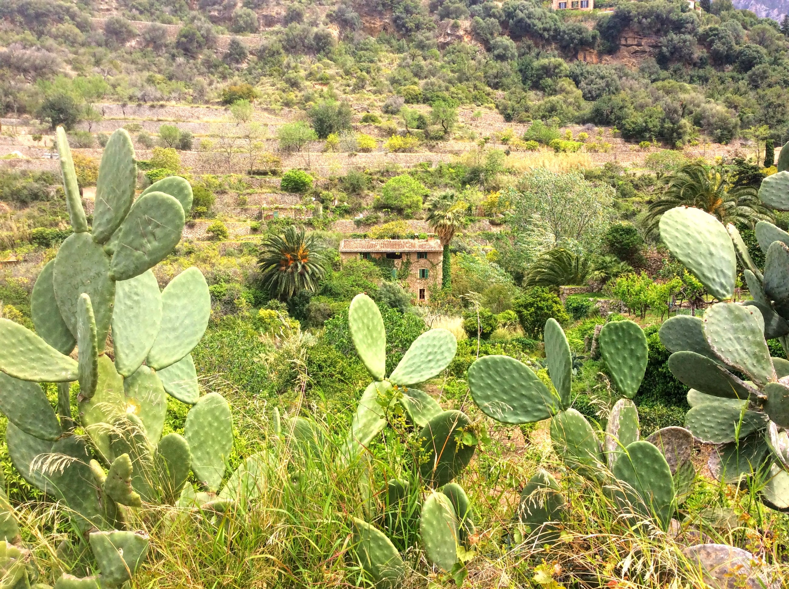 Kultūršoks - patiesība vai mīts