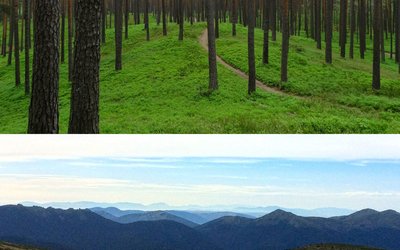 Kā pārvarēt bailes un adaptēties citā vidē