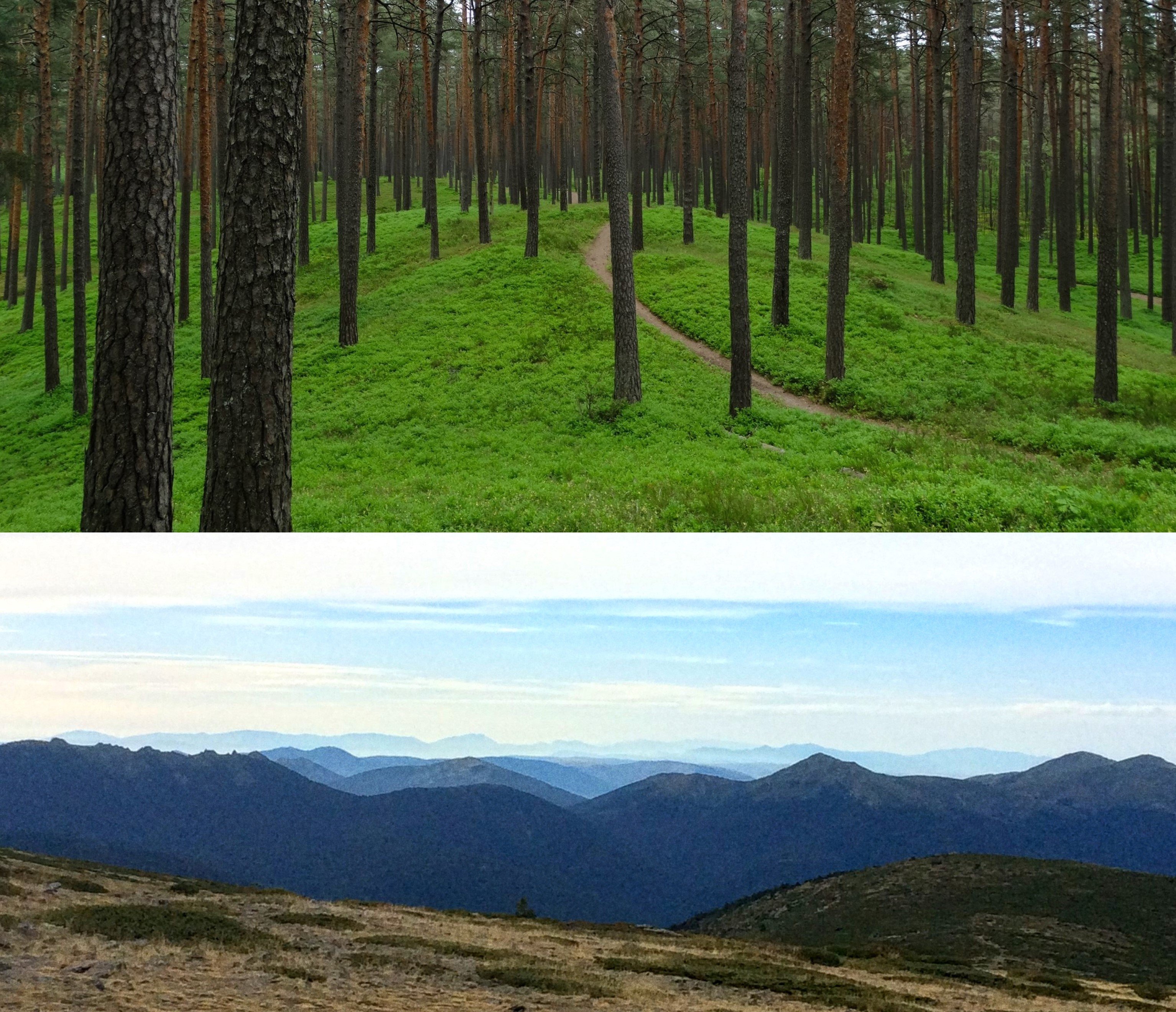 Kā pārvarēt bailes un adaptēties citā vidē